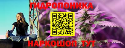 индика Ликино-Дулёво
